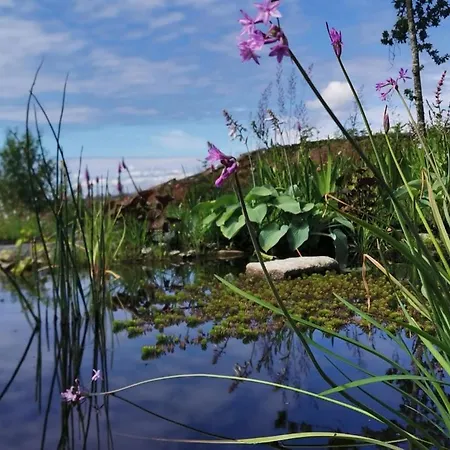 Fjordview Sanctuary *