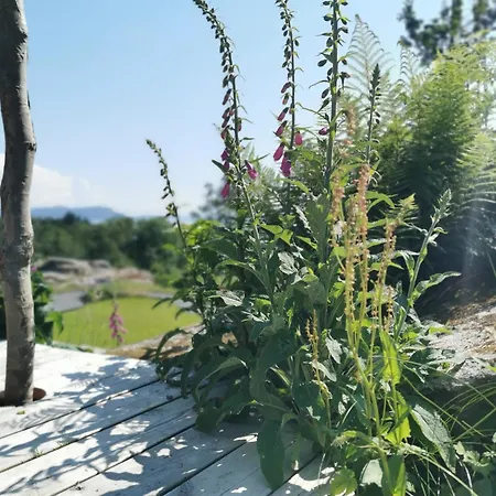 Fjordview Sanctuary Διαμέρισμα *