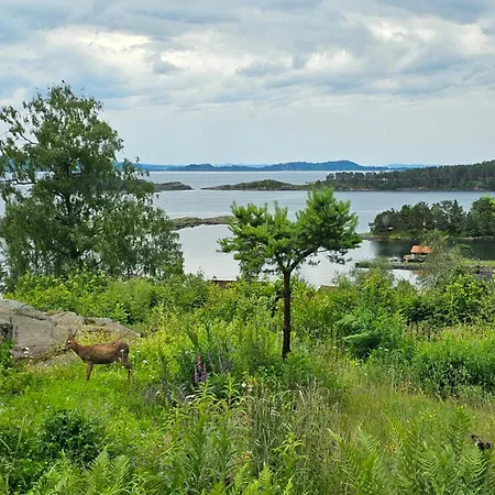 Fjordview Sanctuary * Nedstrand
