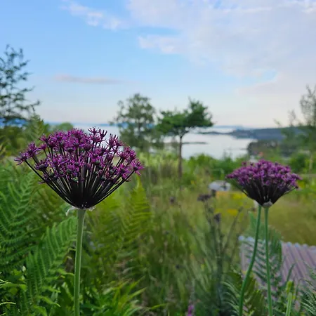 Διαμέρισμα Fjordview Sanctuary Nedstrand