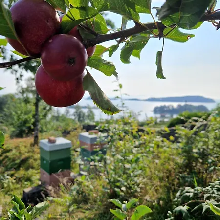 Fjordview Sanctuary Διαμέρισμα