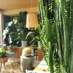 Fjordview Sanctuary *