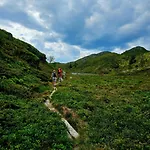 Fjordview Sanctuary * Nedstrand